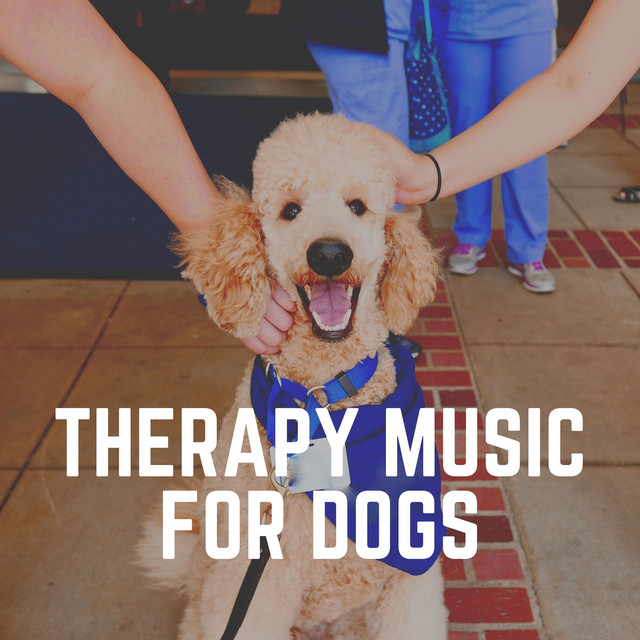 Therapy Music for Dogs cover art