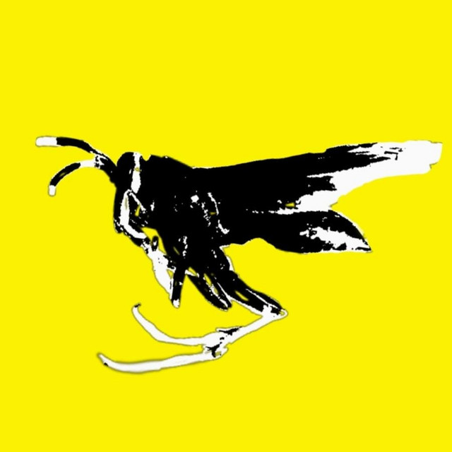 Wasp cover art