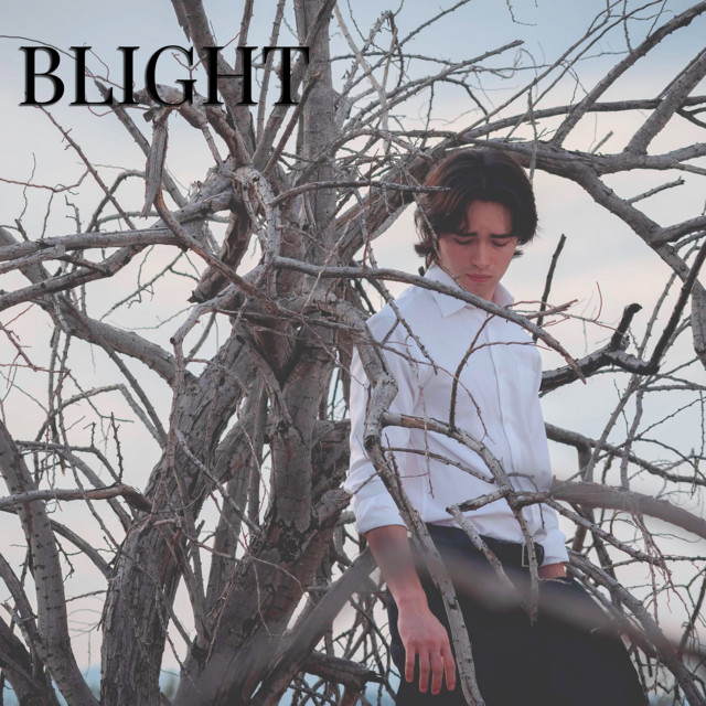 Blight cover art