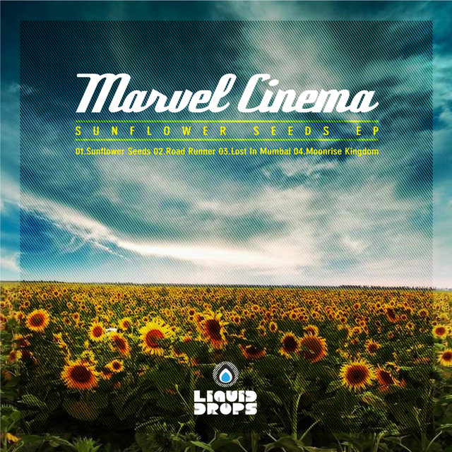 Sunflower Seeds - Original Mix artwork
