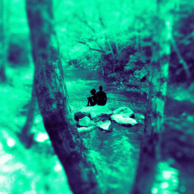 Lost in Shade cover art