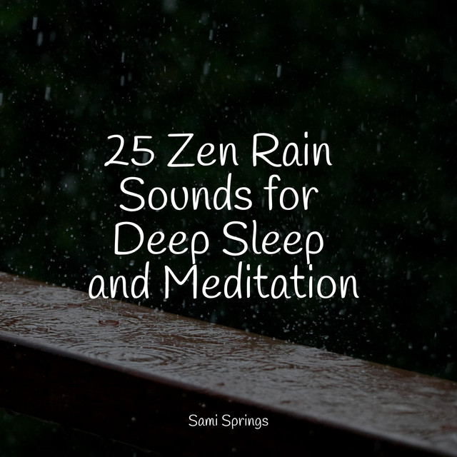 25 Zen Rain Sounds for Deep Sleep and Meditation - Album by Academia de ...