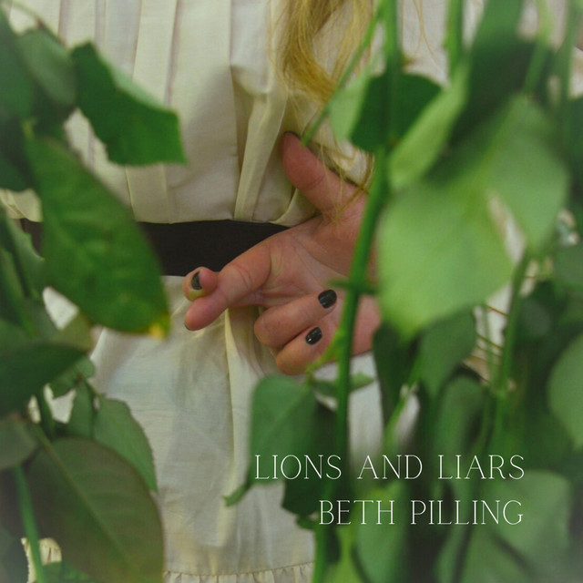 Lions And Liars cover art
