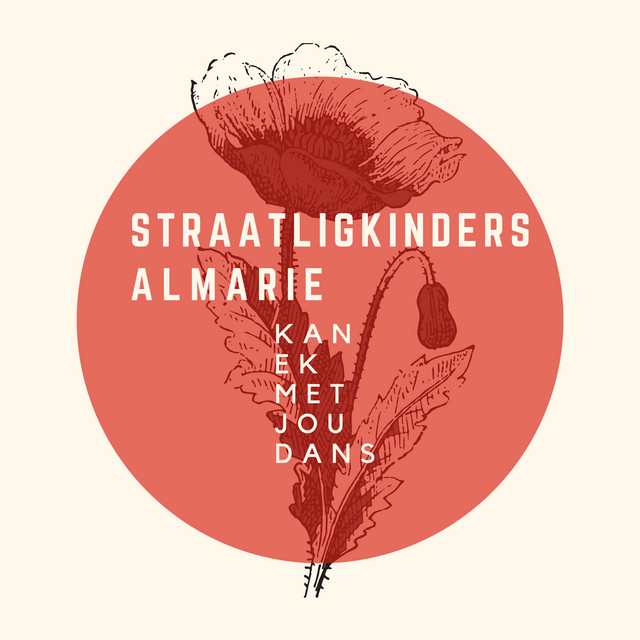 Kan Ek Met Jou Dans (Acoustic) cover