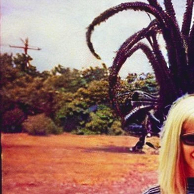 before i go cover art