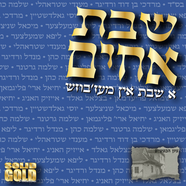 Shevet Achim: A Shabbos in Mezbish cover art