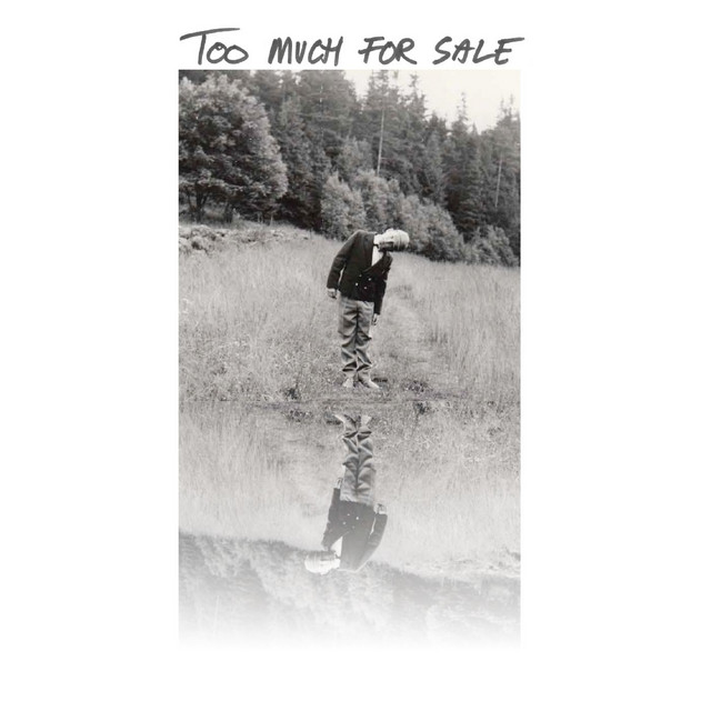 Too Much for Sale cover art