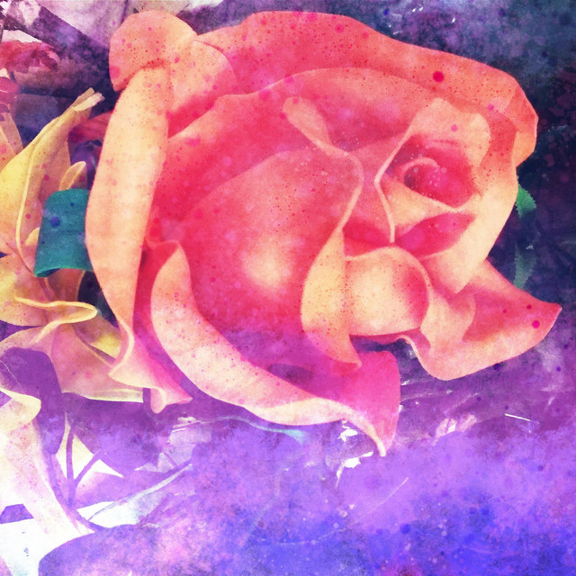 Jardim Das Cores Dancantes cover art