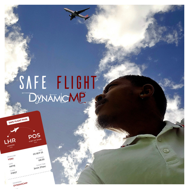 Safe Flight cover