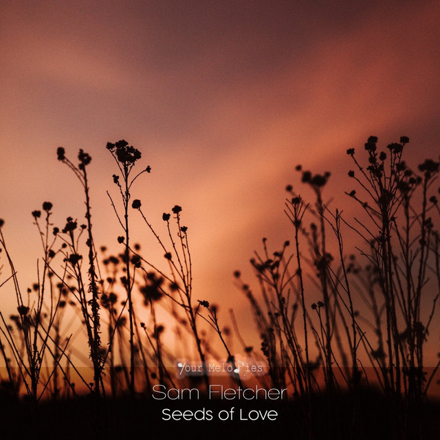 Обкладинка Sam Fletcher — Seeds of Love