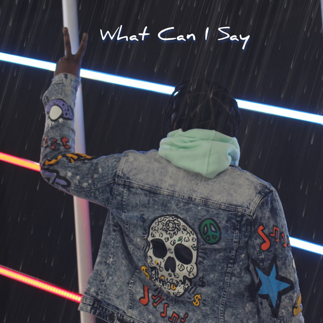 What Can I Say cover art