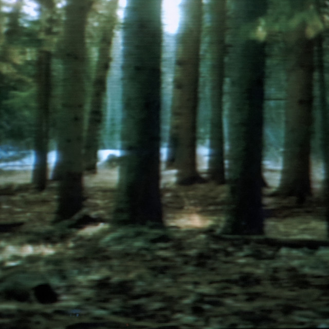 Forest cover art