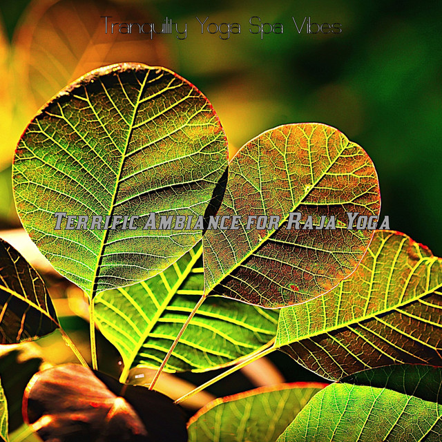Terrific Ambiance for Raja Yoga cover art