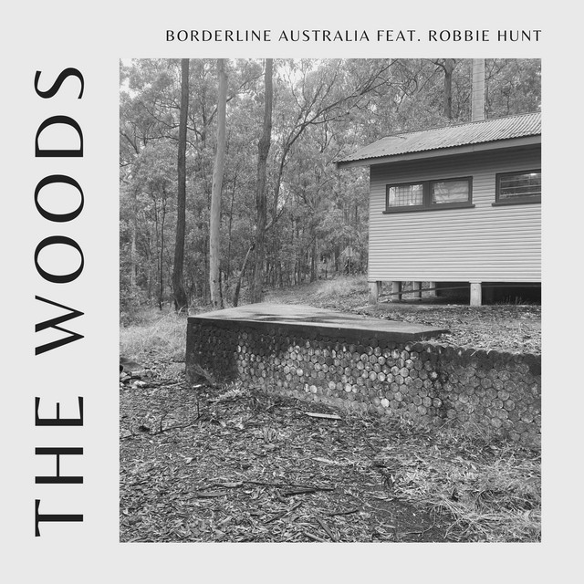 The Woods cover art