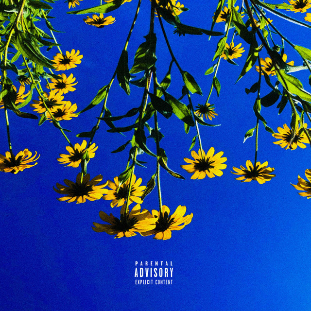 Sunrise cover art