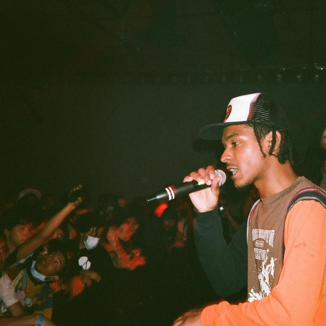 In the field cover art
