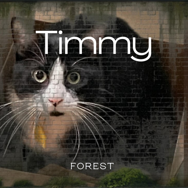 Timmy cover art