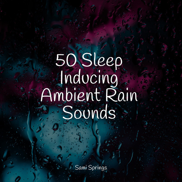 50 Sleep Inducing Ambient Rain Sounds - Album by Namaste Healing Yoga ...