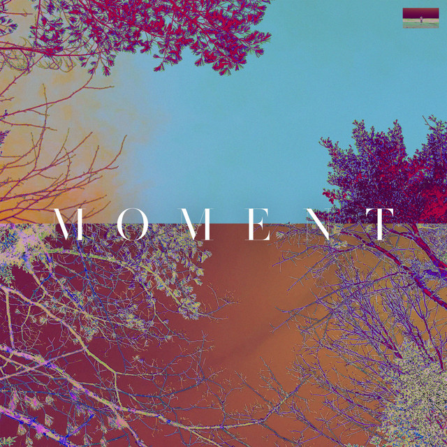 Moment cover