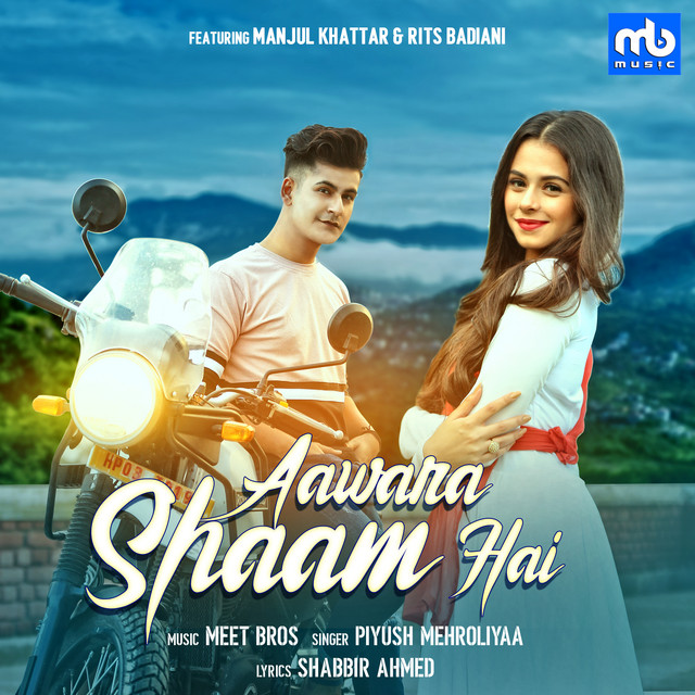Aawara Shaam Hai cover art