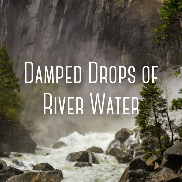 Damped Drops of River Water cover art