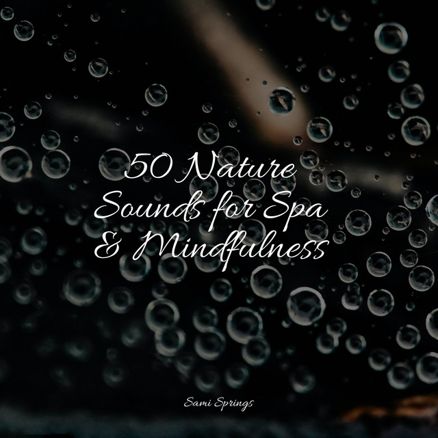 50 Nature Sounds for Spa & Mindfulness - Album by Natural Sample Makers ...