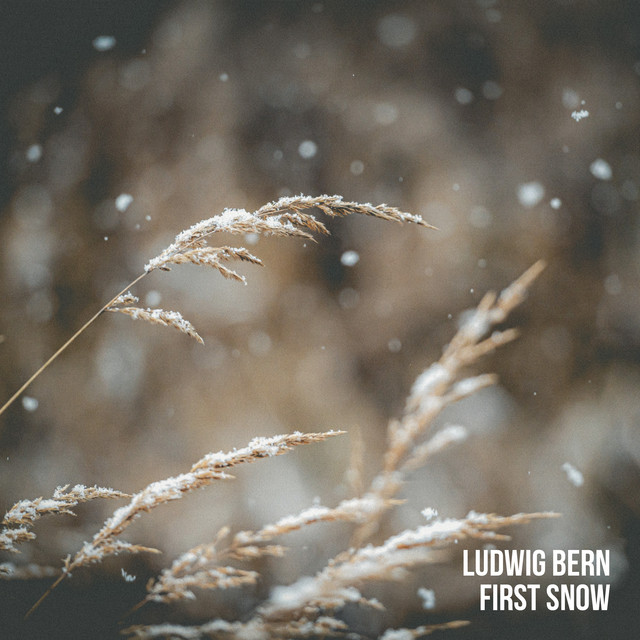 First Snow