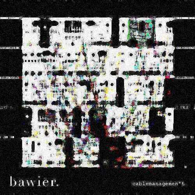 cablemanagemen't cover art