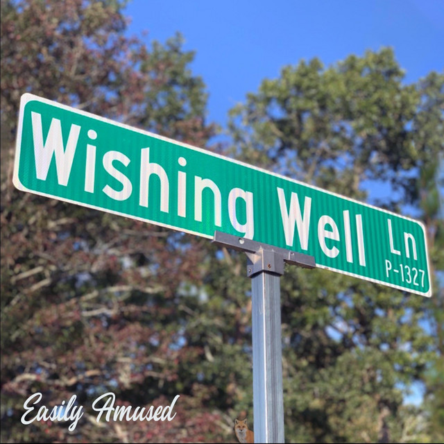 Wishing Well cover