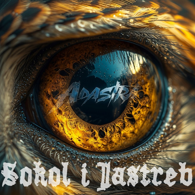 Sokol i jastreb cover