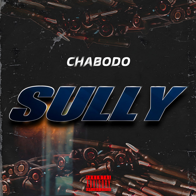 Sully cover