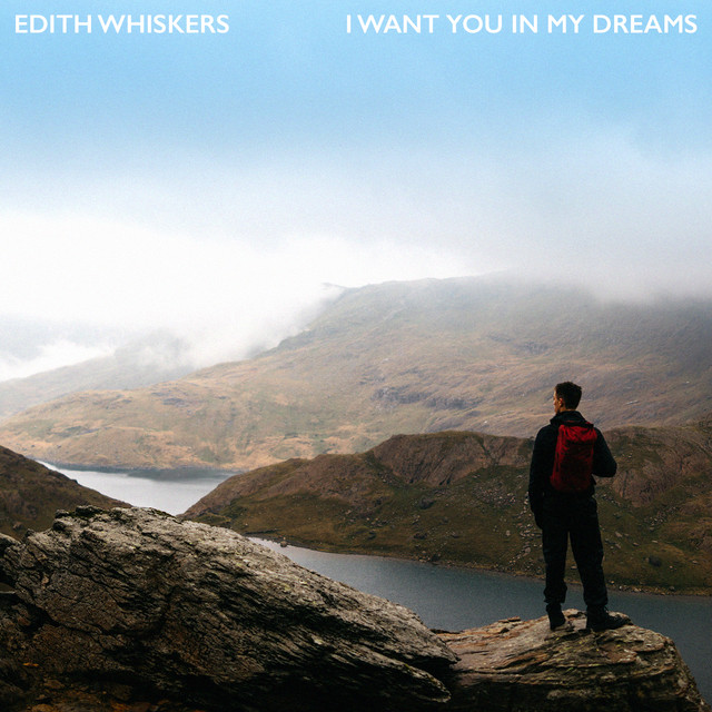 I Want You In My Dreams cover art