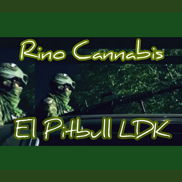 Rino Cannabis