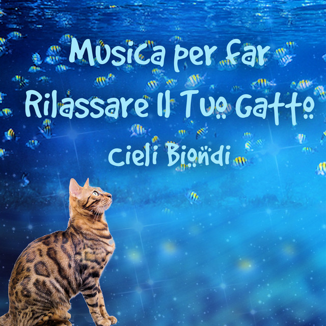 Musica per far rilassare il tuo gatto cover art