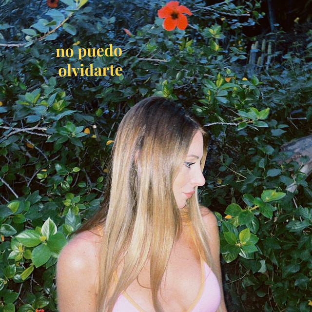 No Puedo Olvidarte artwork