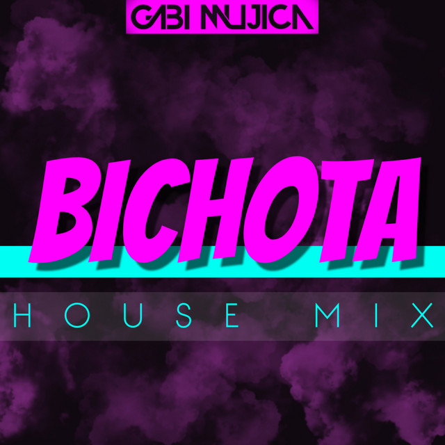 Bichota - House Mix - song and lyrics by Gabi Mujica | Spotify