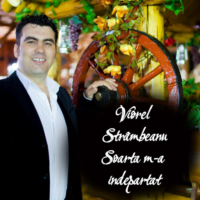Viorel Photo