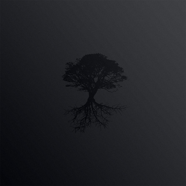 Tree Funk | Spotify