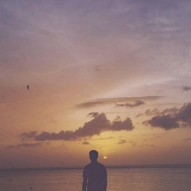Sunsets cover art