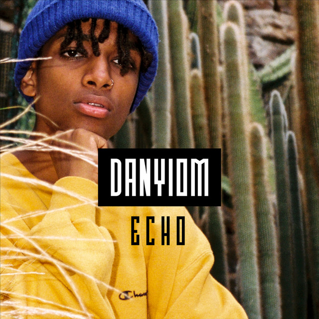 Echo cover