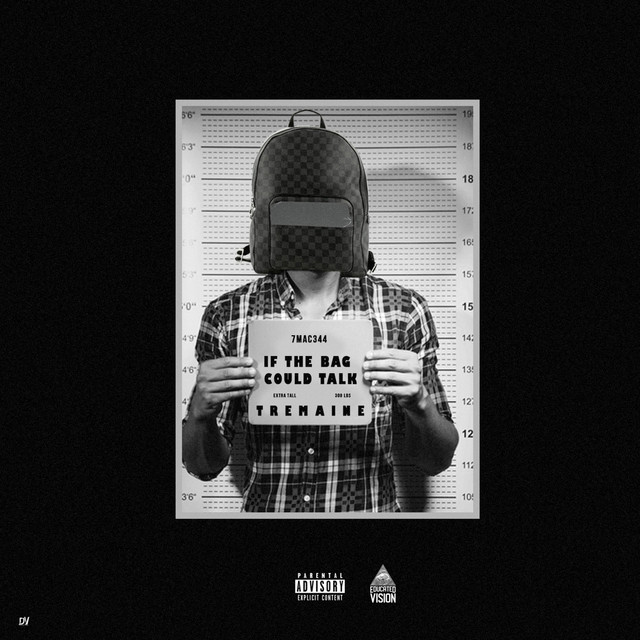 If the Bag Could Talk cover art