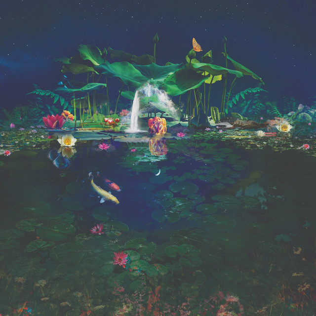 Plunge cover art