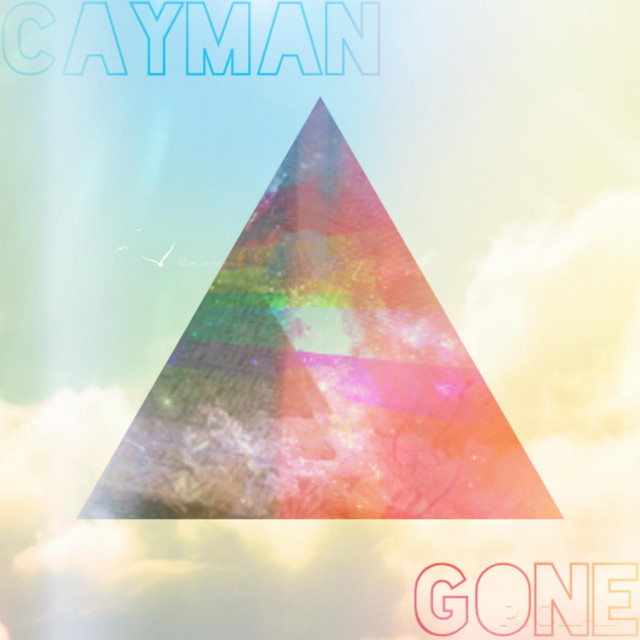 Gone cover art