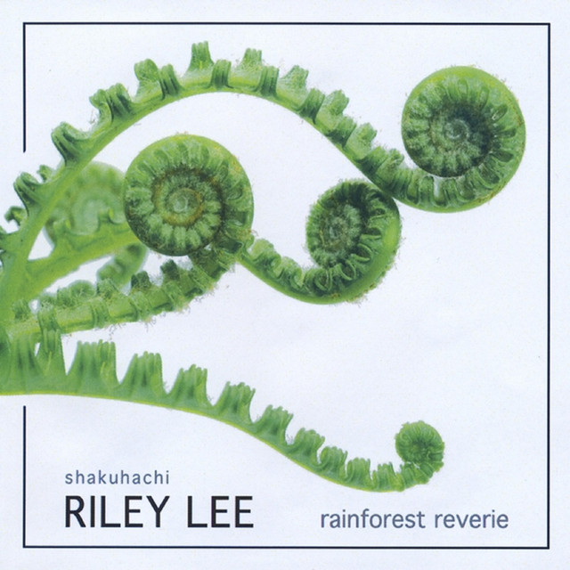 Rainforest Reverie cover art