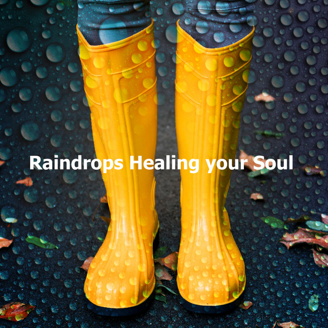 Raindrops Healing your Soul cover art