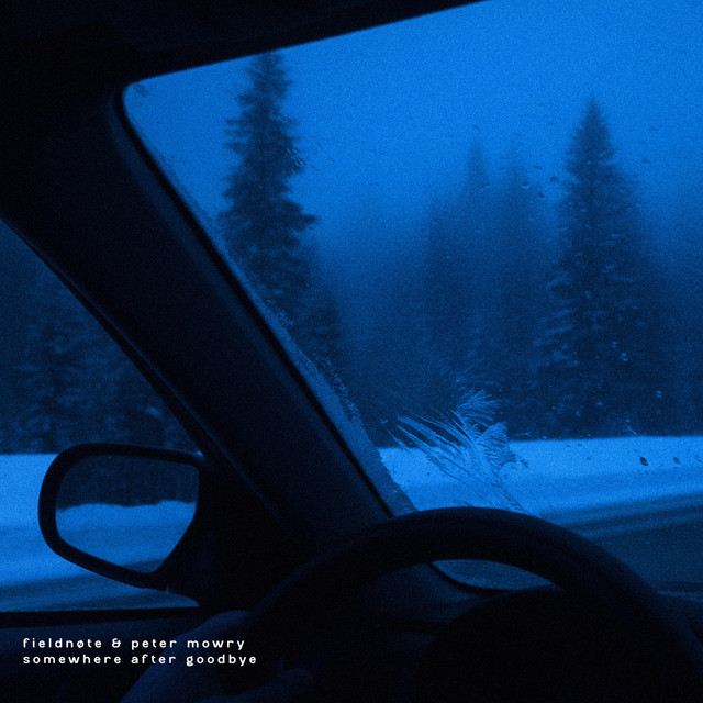 somewhere after goodbye cover art