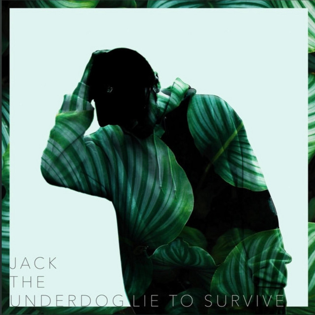 Lie To Survive cover art