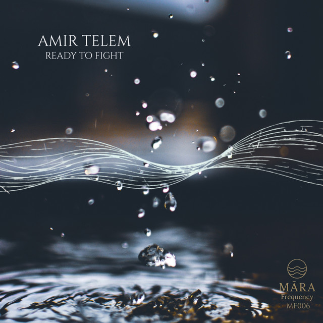 Обкладинка Amir Telem — Ready to Fight