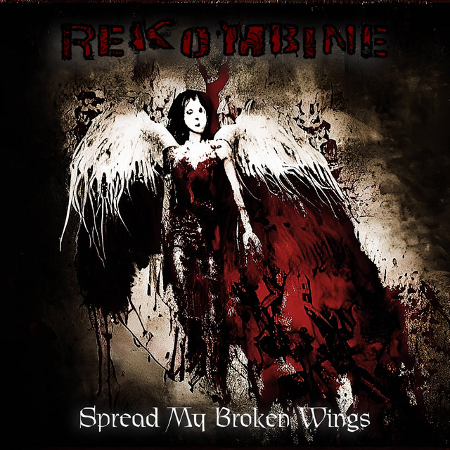 Spread My Broken Wings cover art