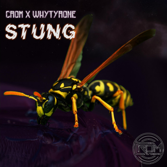 Stung cover art